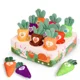 9 carrots set