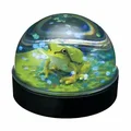 Green tree frog