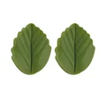 10pcs bean green