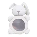 Fun Mirror Rabbit