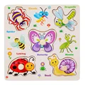 Insects