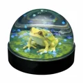 Yellow tree frog