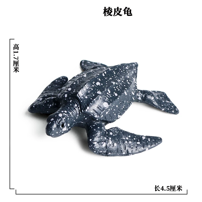 SEA LIFE - 18