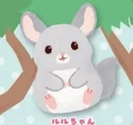 Chinchilla gray