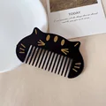 Persian cat Black