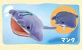 manta ray