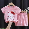 K039-pink cat