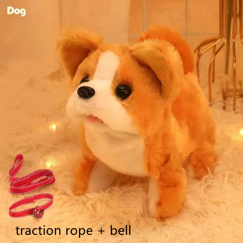 Shiba Inu