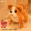 Shiba Inu