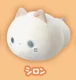 white cat