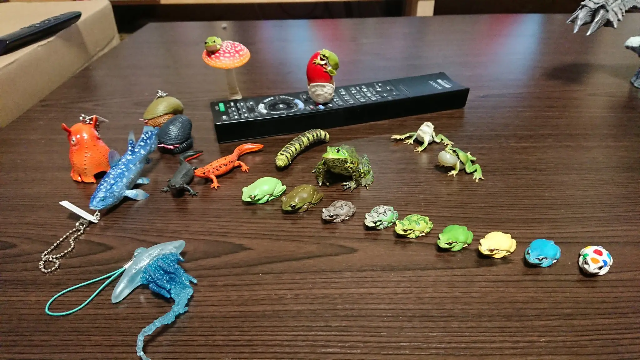 16 tipos disponibles - Variedad colores