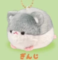hamster