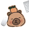 Capybara 02