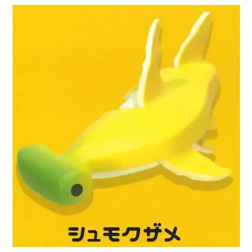 hammerhead shark