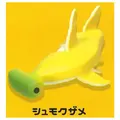 hammerhead shark