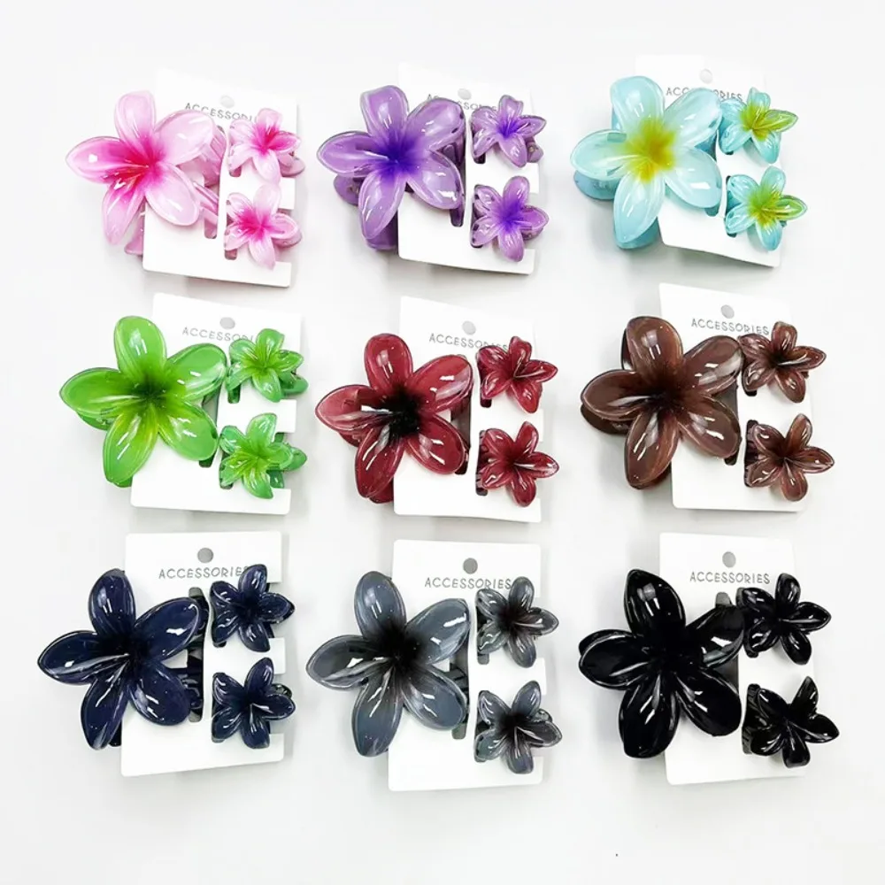 3 unids/set dulce flor colroful gradiente garras para el cabello Cola de Caballo Cip abrazadera pasadores horquillas para mujeres chica accesorios para el cabello de playa - imagen 5