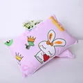 pillowcase 5-1pc