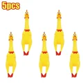 5pcs
