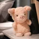 piglet 20cm