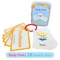 Bodypart