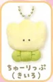 Tulip yellow