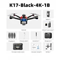 Black-Dual 4K-1B