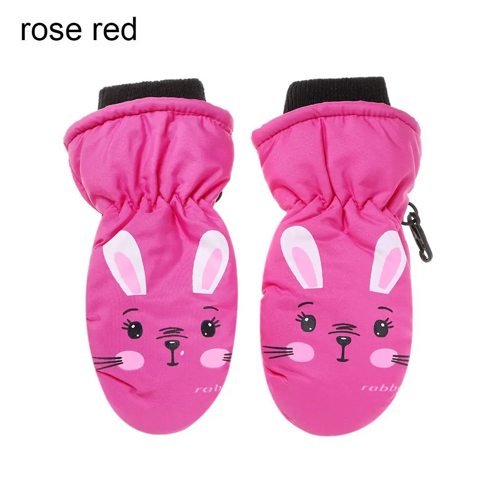 0-5Y-rose red