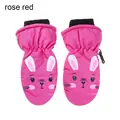 0-5Y-rose red