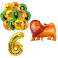 Balloon Set 6