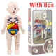 S-With Box