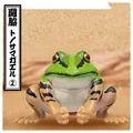 Sekiwake frog B