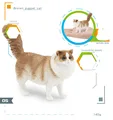 1561