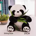 25cm-Sitting Style