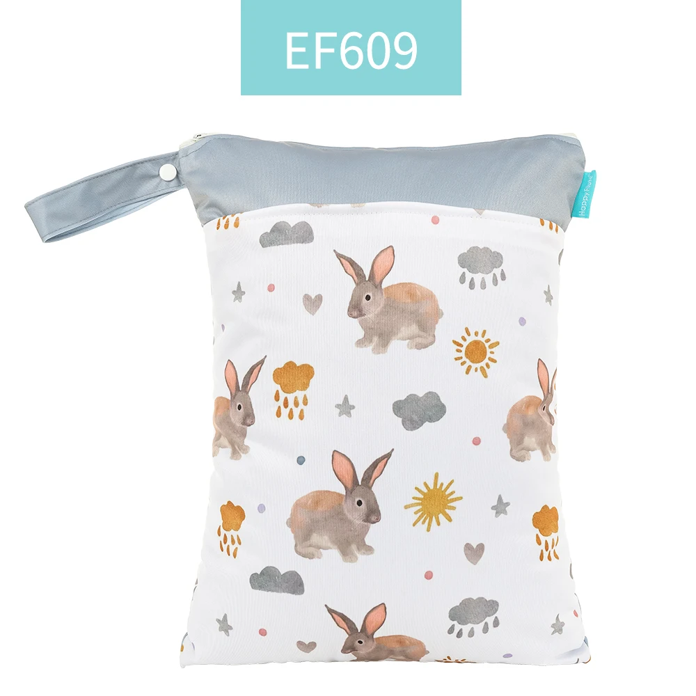 ES001-EF609