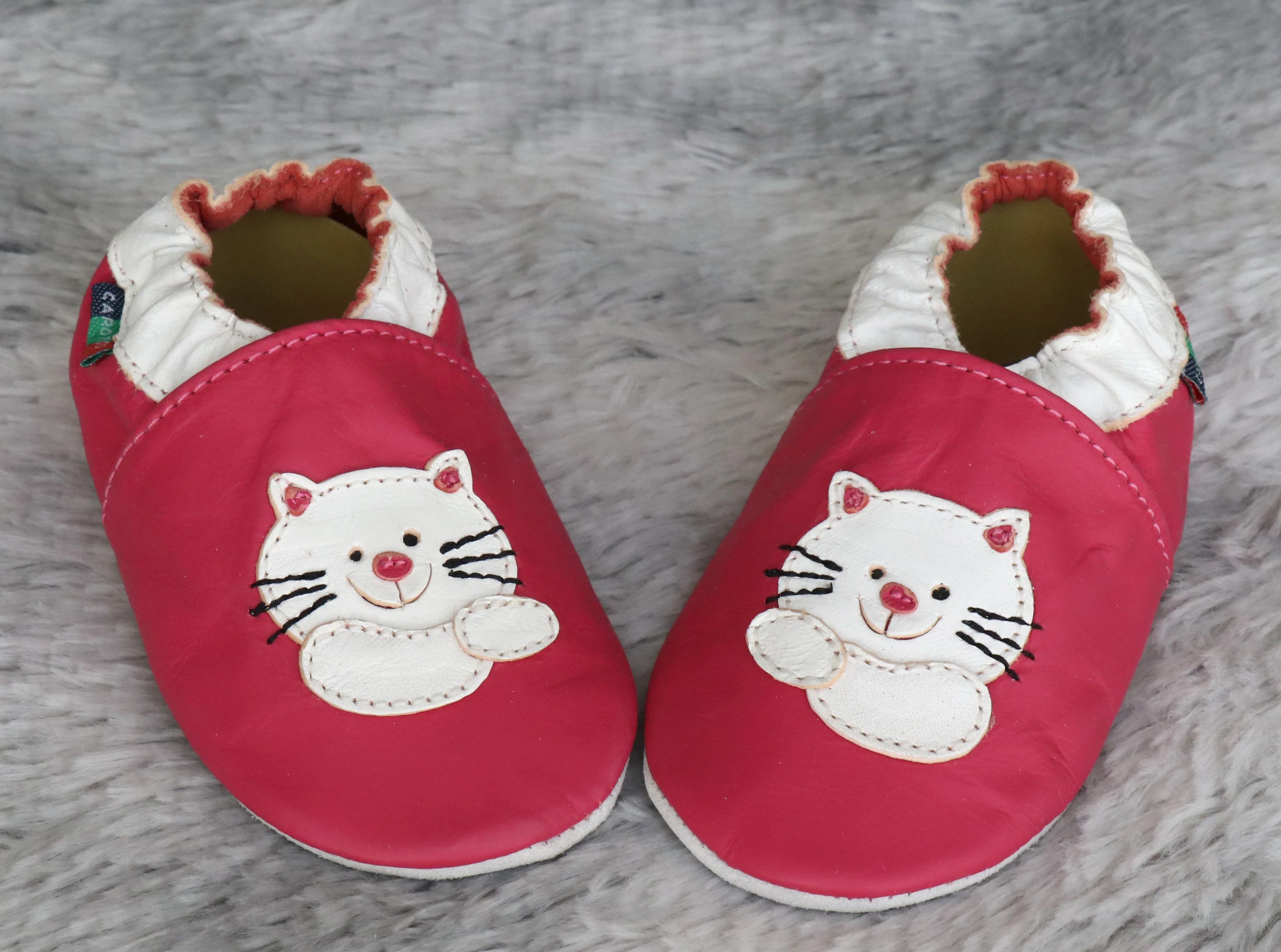 cat fuchsia s