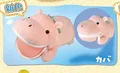 Hippopotamus