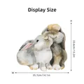 rabbits