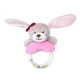 Long rabbit 314