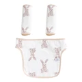 Long eared rabbit