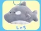 killer whale