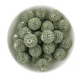 5pcs matcha green