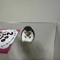 Hedgehog