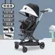 Panda hood