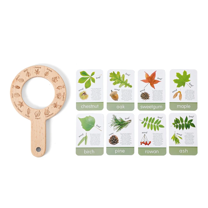 Magnifier Set