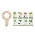 Magnifier Set