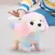 large puppy