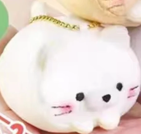 white cat