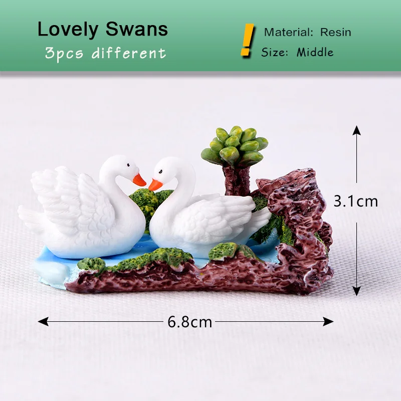 Swan Lover