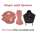 ginger pink