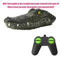 Crocodile Boat
